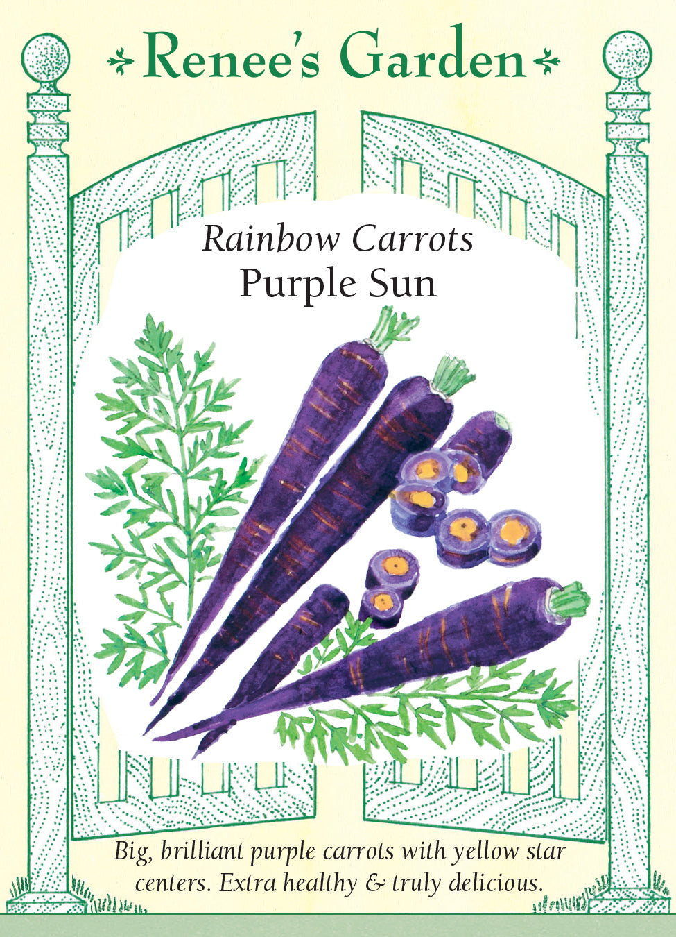 Carrot Purple Sun