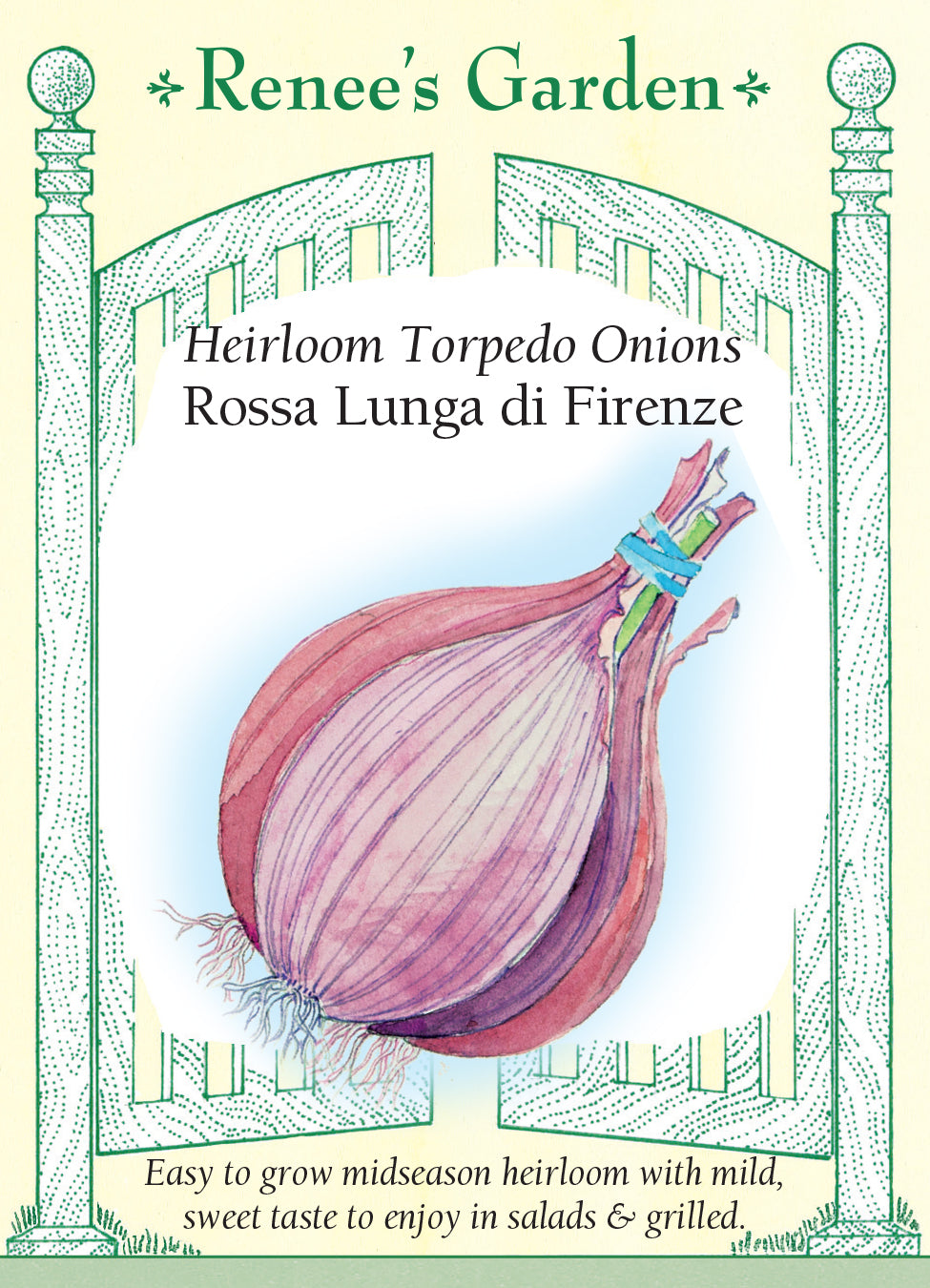 Onion Rossa Lunga di Firenze