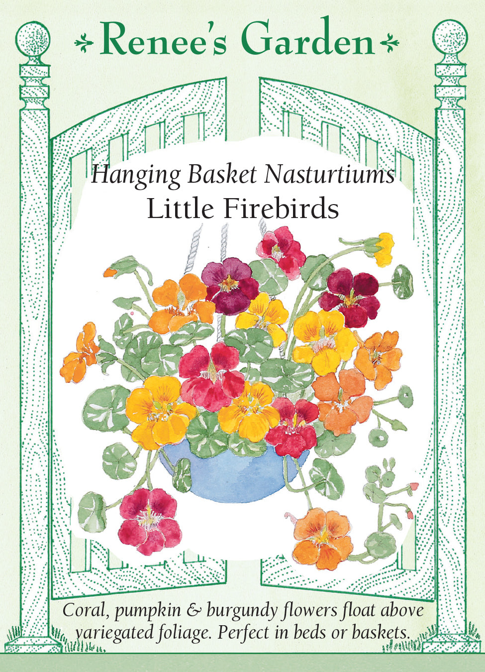 Nasturtium Little Firebirds