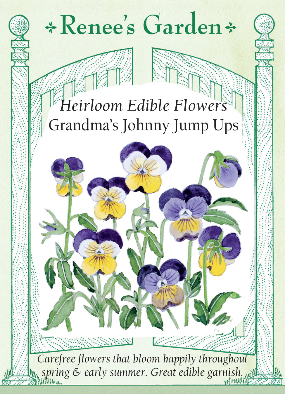 Viola Garden Grandma's Johnny Jump Ups