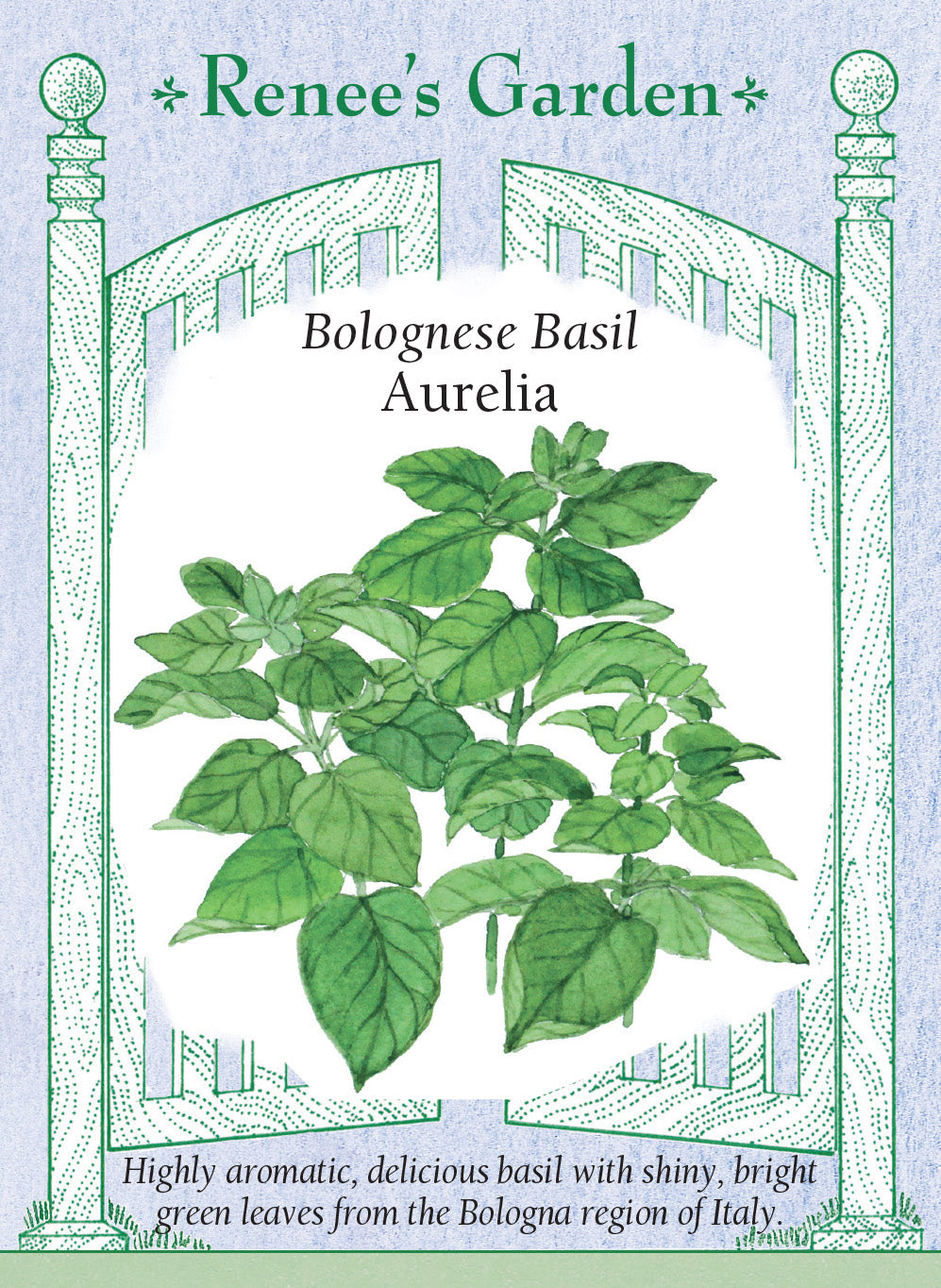 Basil Aurelia