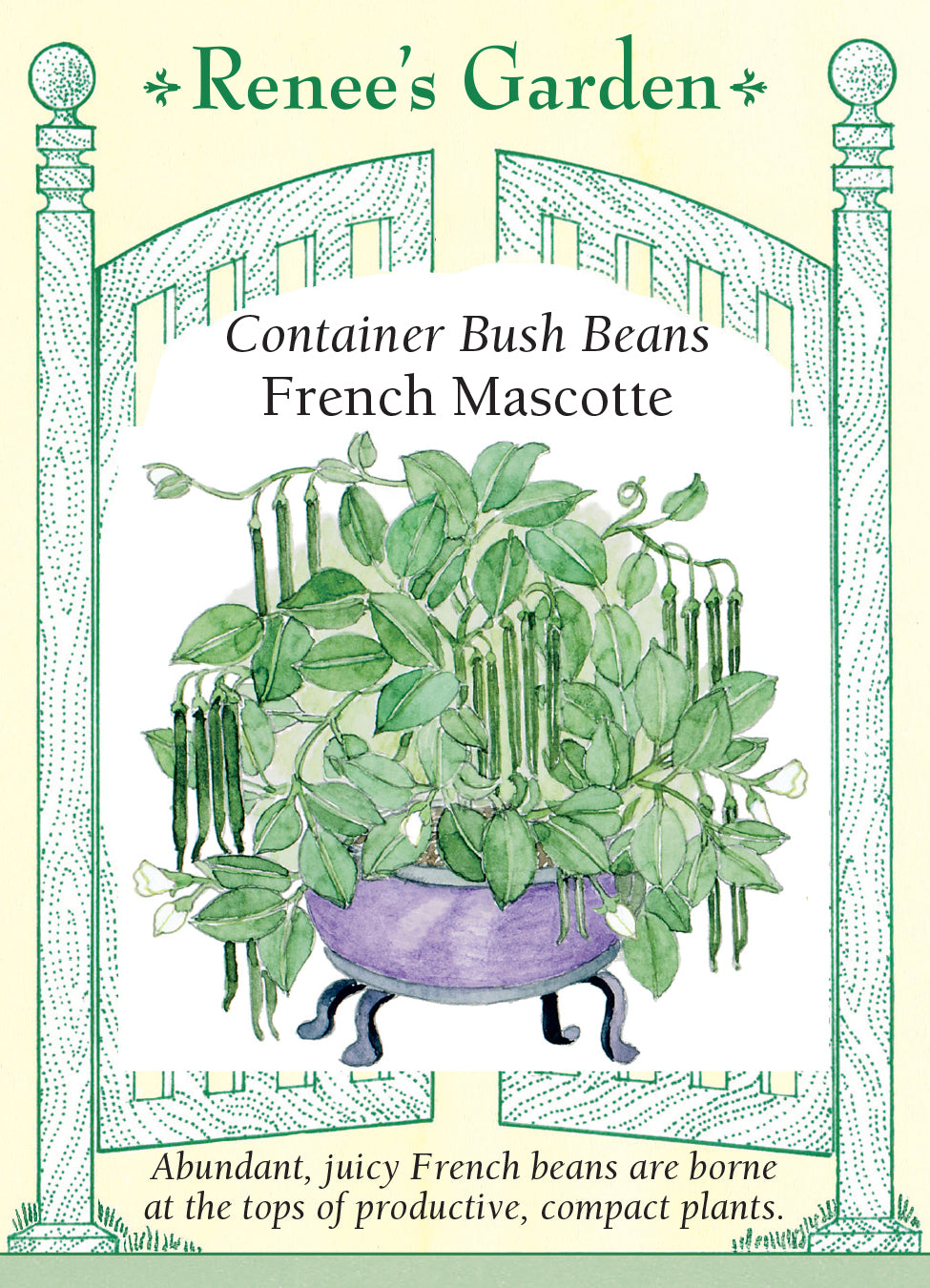 Bean Bush French Mascotte