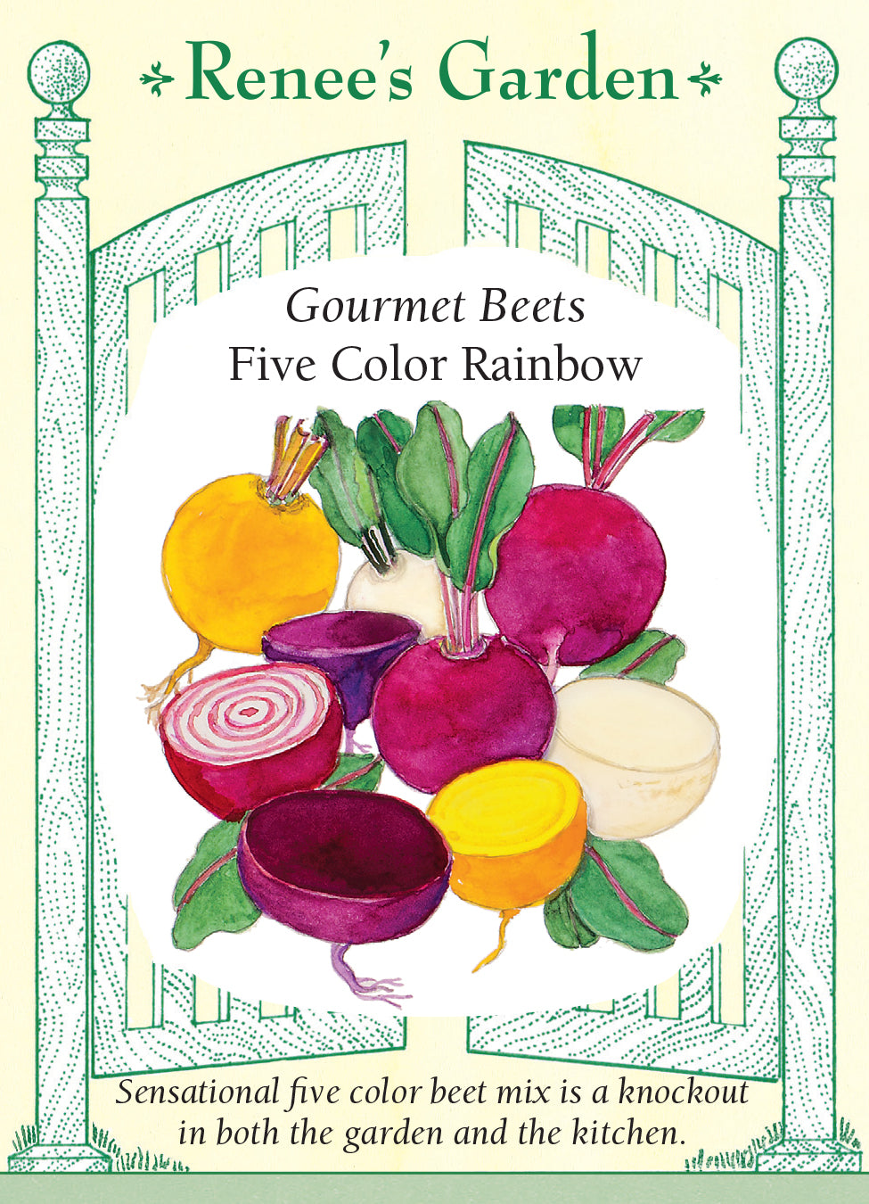 Beet Five Color Rainbow