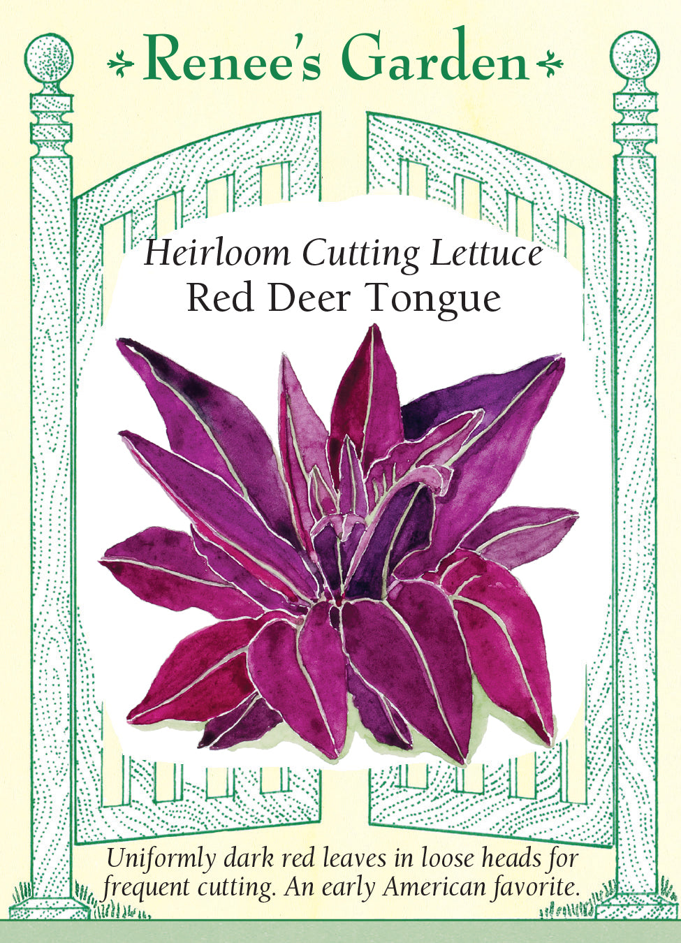 Lettuce Red Deer Tongue