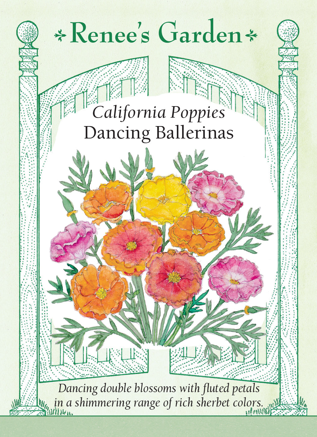 Poppy Californina Dancing Ballerinas