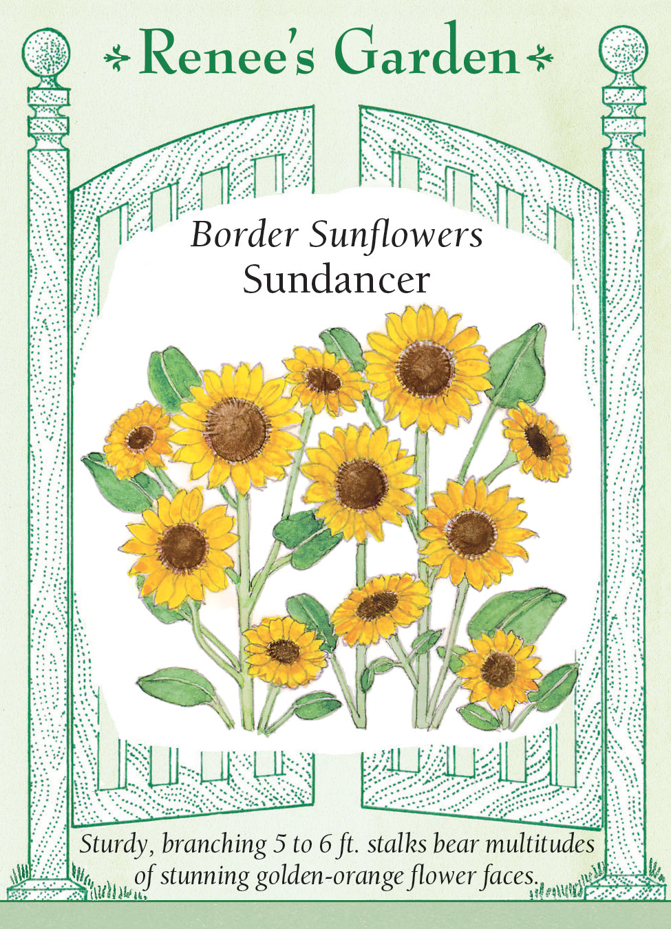 Sunflower Sundancer