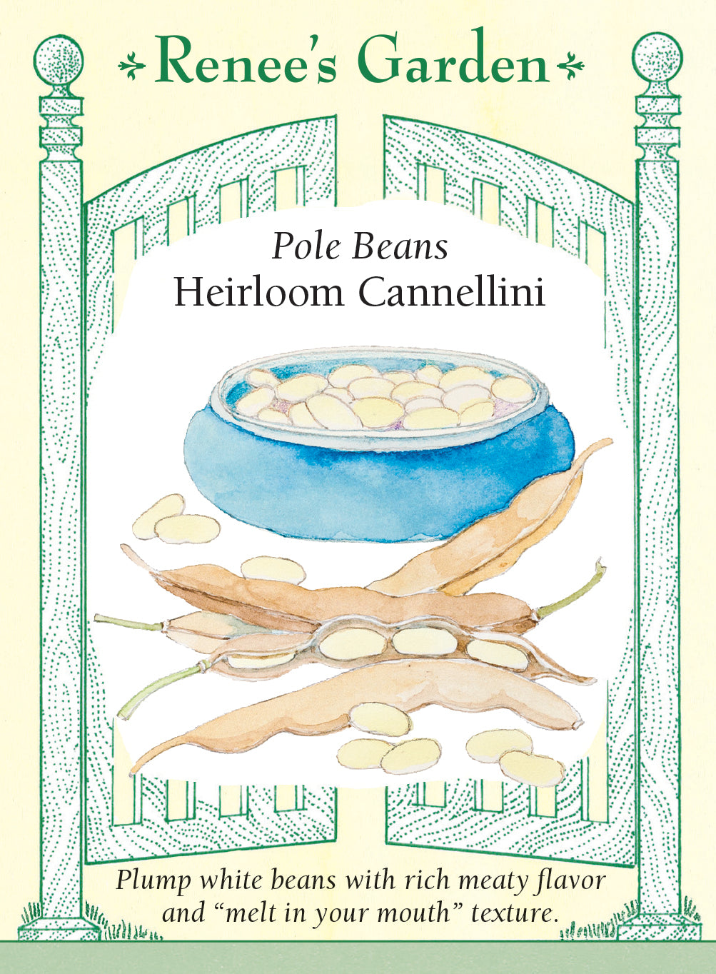 Bean Bush Cannellini