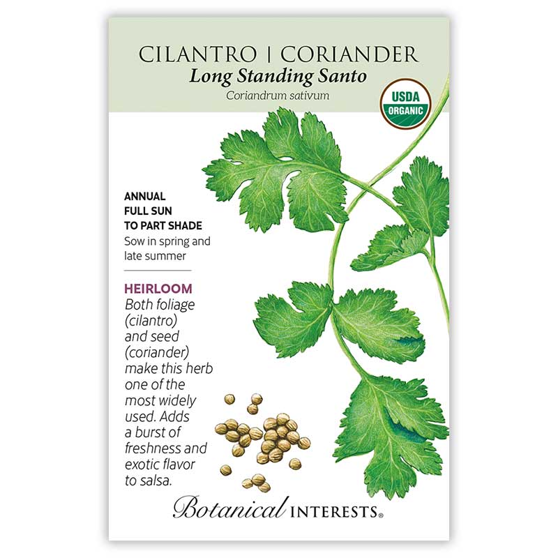 Cilantro/Coriander Long Standing Santo Organic