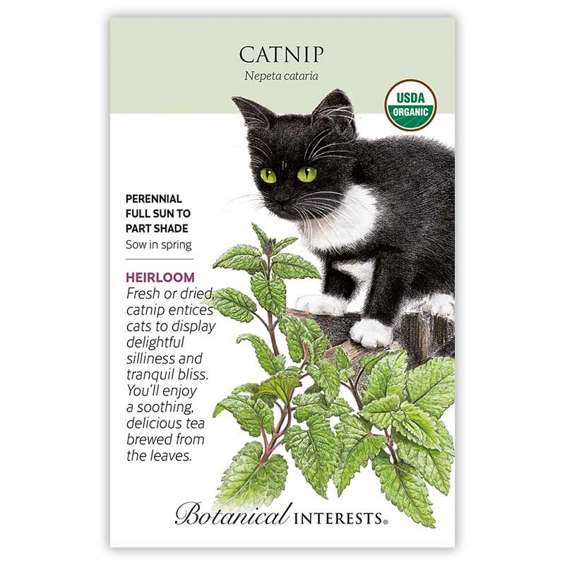 Catnip Org