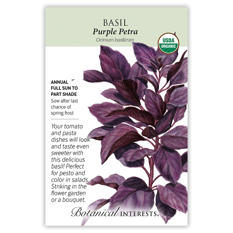 Basil Purple Petra