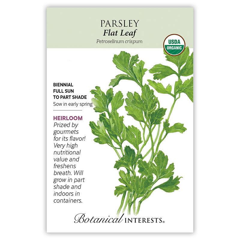 Parsley Flat Leaf Organic