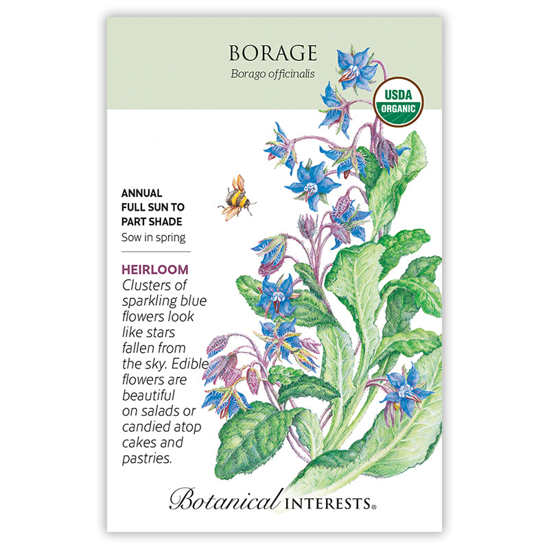Borage Organic