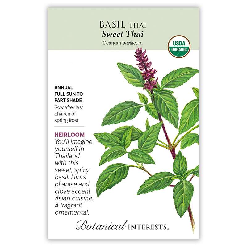 Basil Thai Sweet Tai Organic