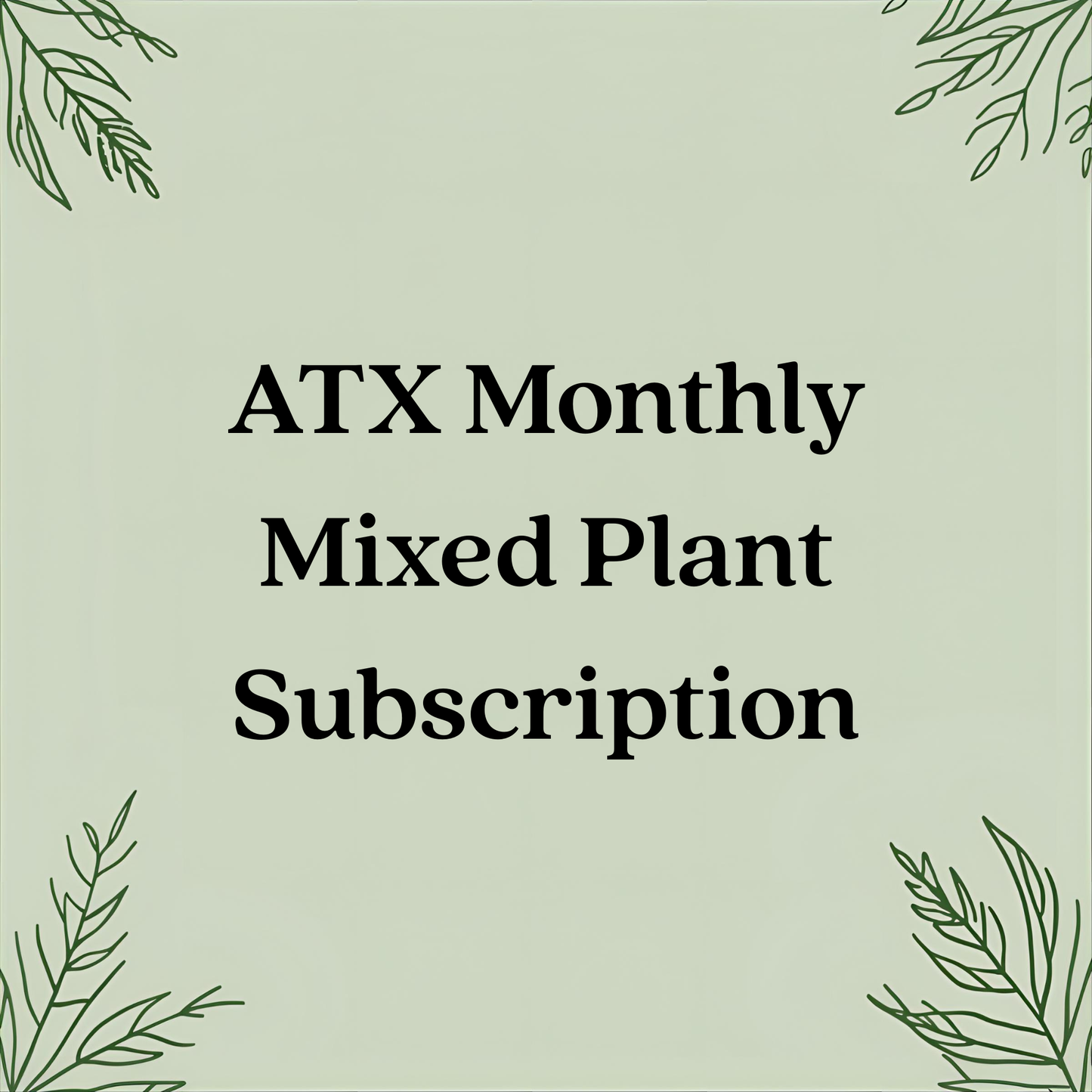 ATX Monthly Mixed Plant Subscription – Premium 4" Seasonal Plants