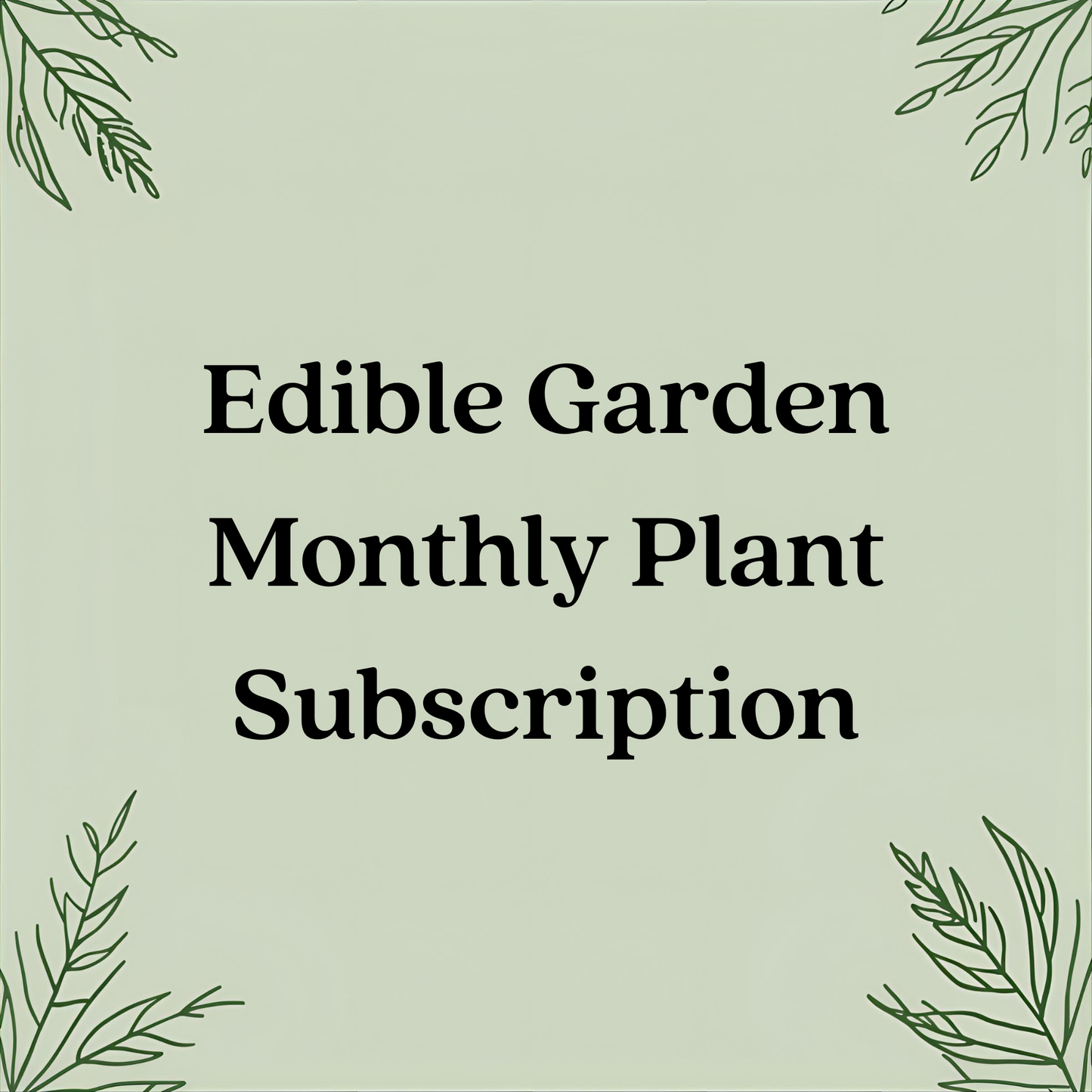 Edible Garden Monthly Plant Subscription – Seasonal Veggies & Herbs in 4" Pots