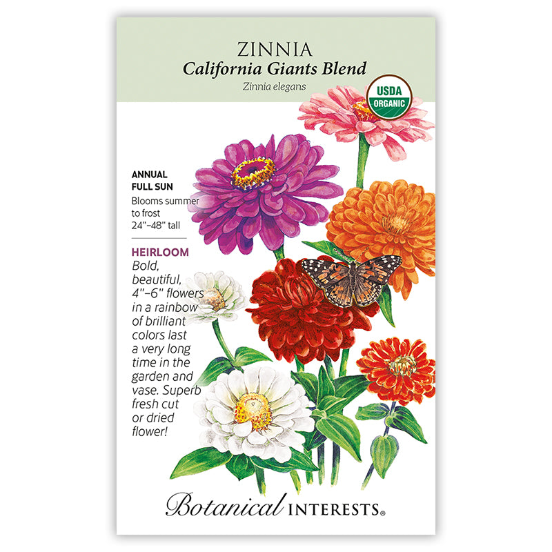 Zinnia California Giants