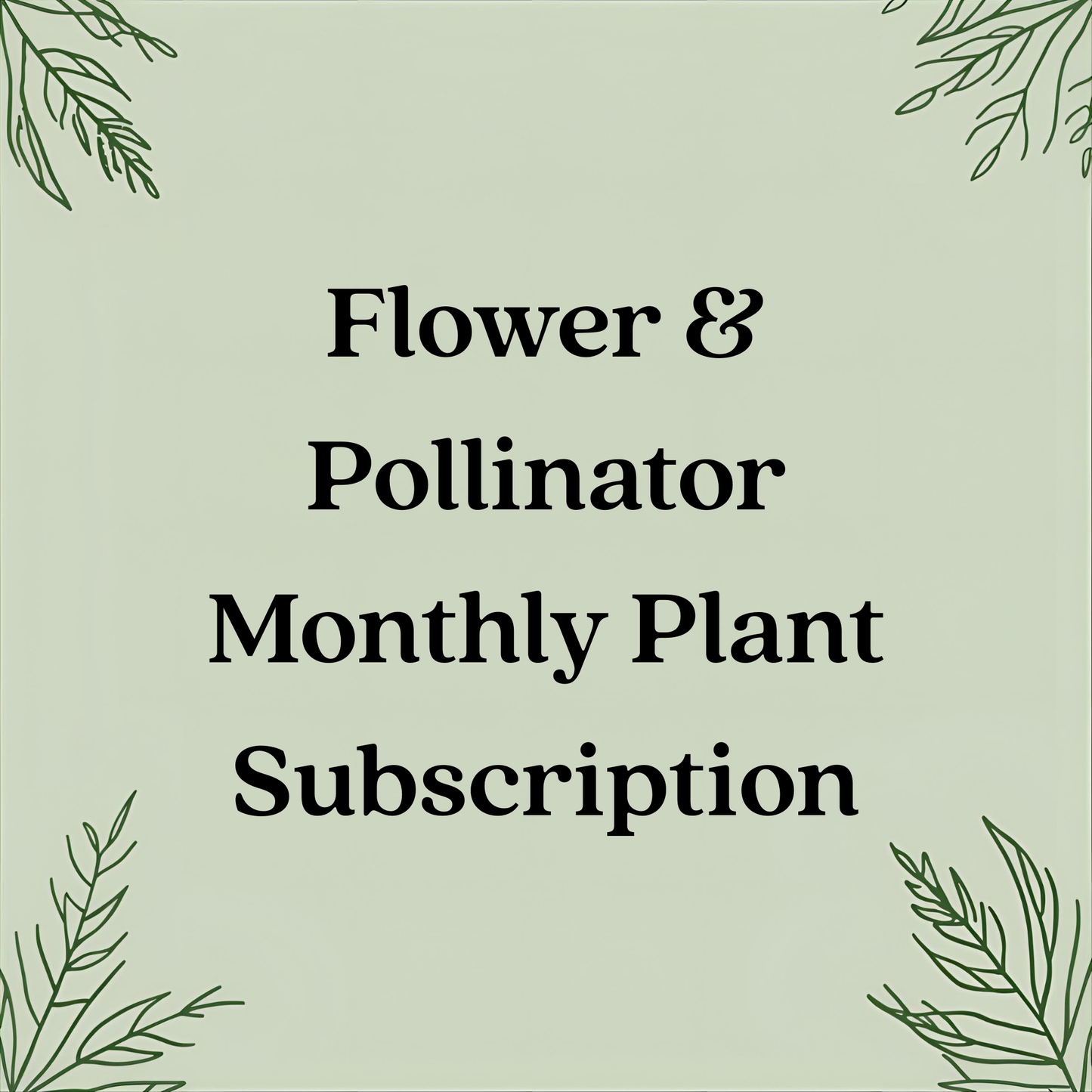 Flower & Pollinator Monthly Plant Subscription – Seasonal Blooms in 4" Pots
