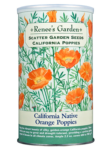 Scatter Garden California Poppies