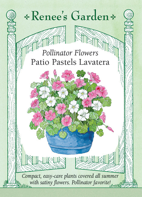 Lavatera Patio Pastels Mix