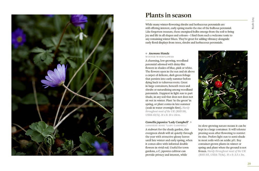 What To Sow, Grow And Do: A Seasonal Garden Guide