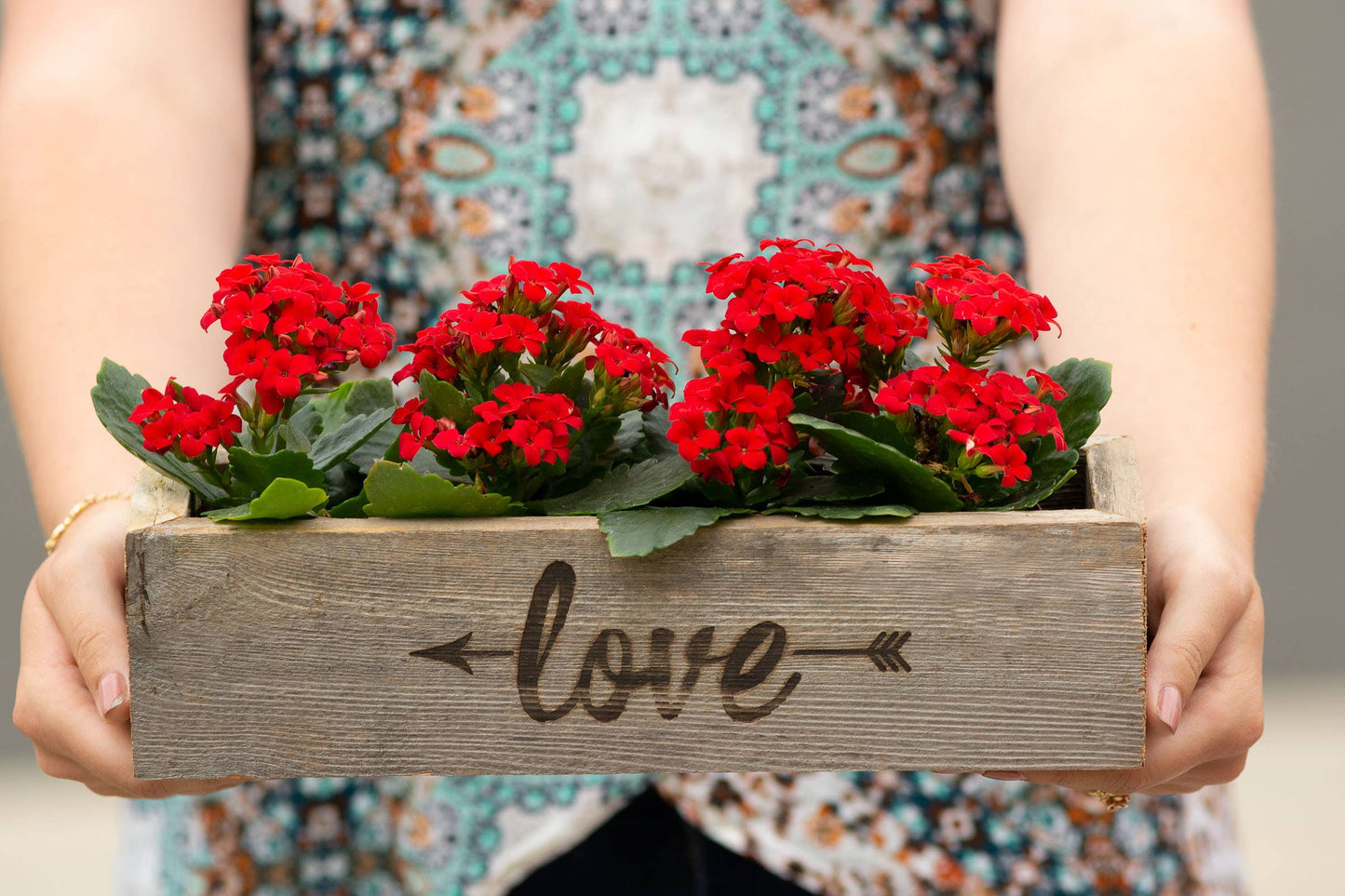 Reclaimed Wood Succulent Love and Arrow Planter - Medium