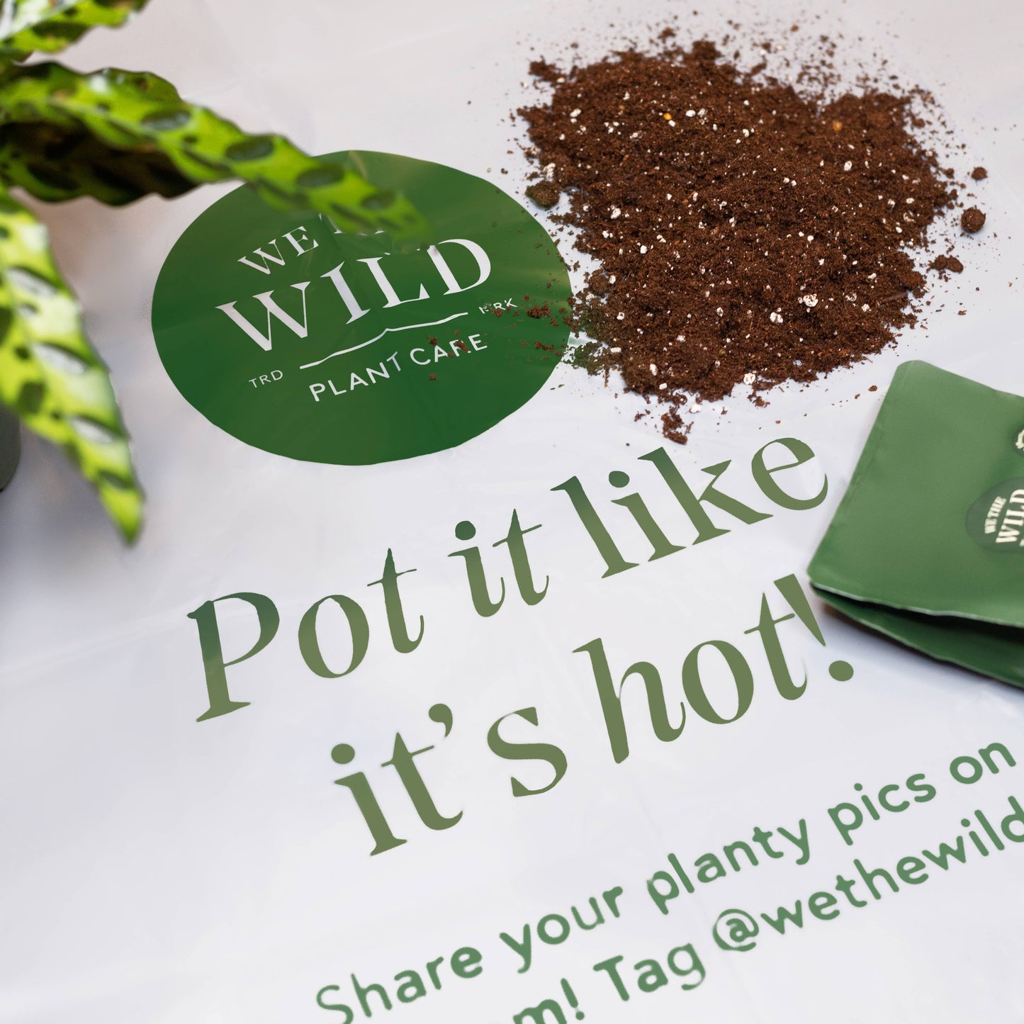 Compostable Gardening Mat 2 pk