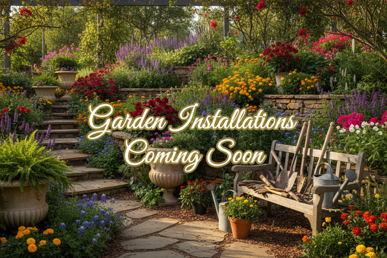 Garden Installation