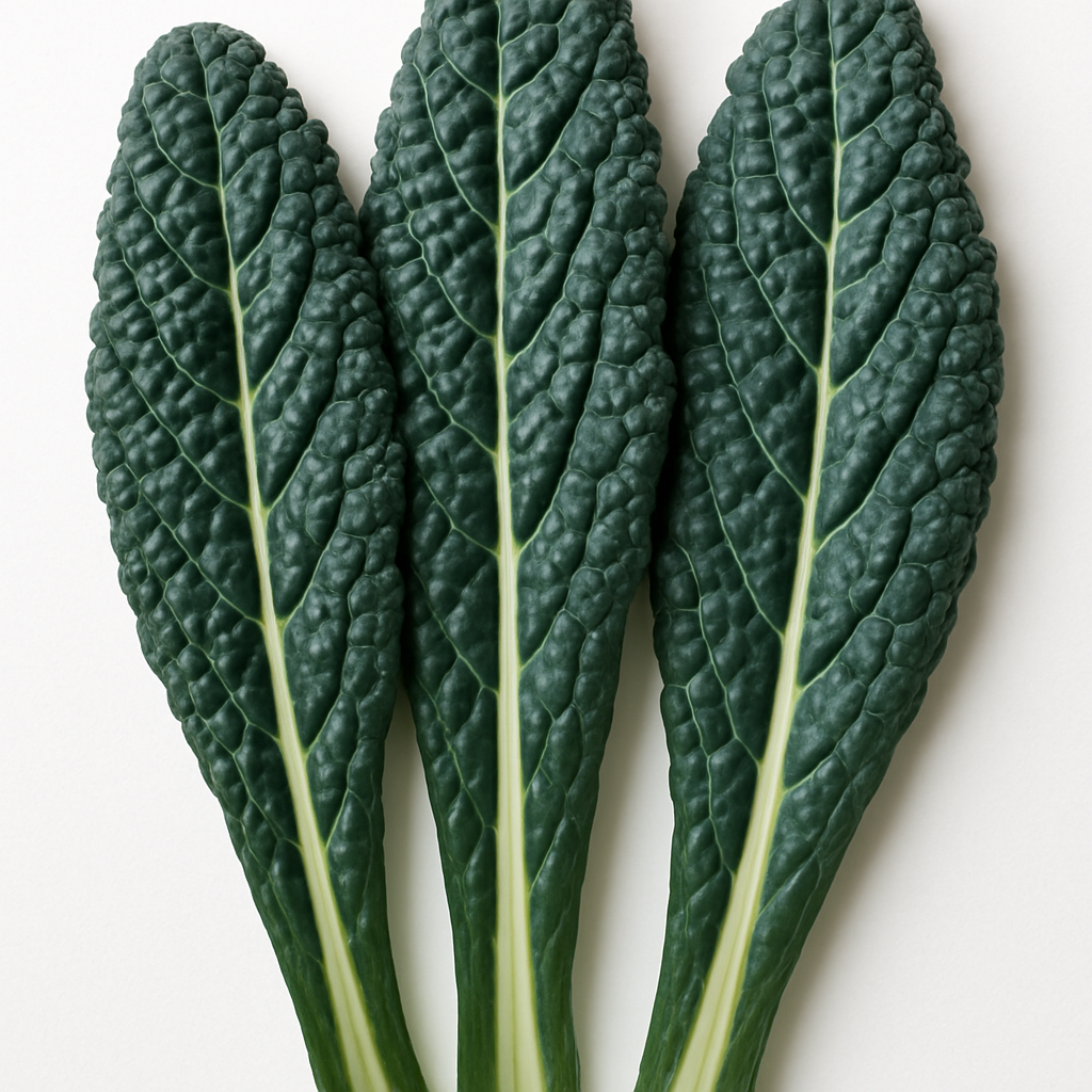 Kale Toscano (Lacinato/Dinosaur) Organic