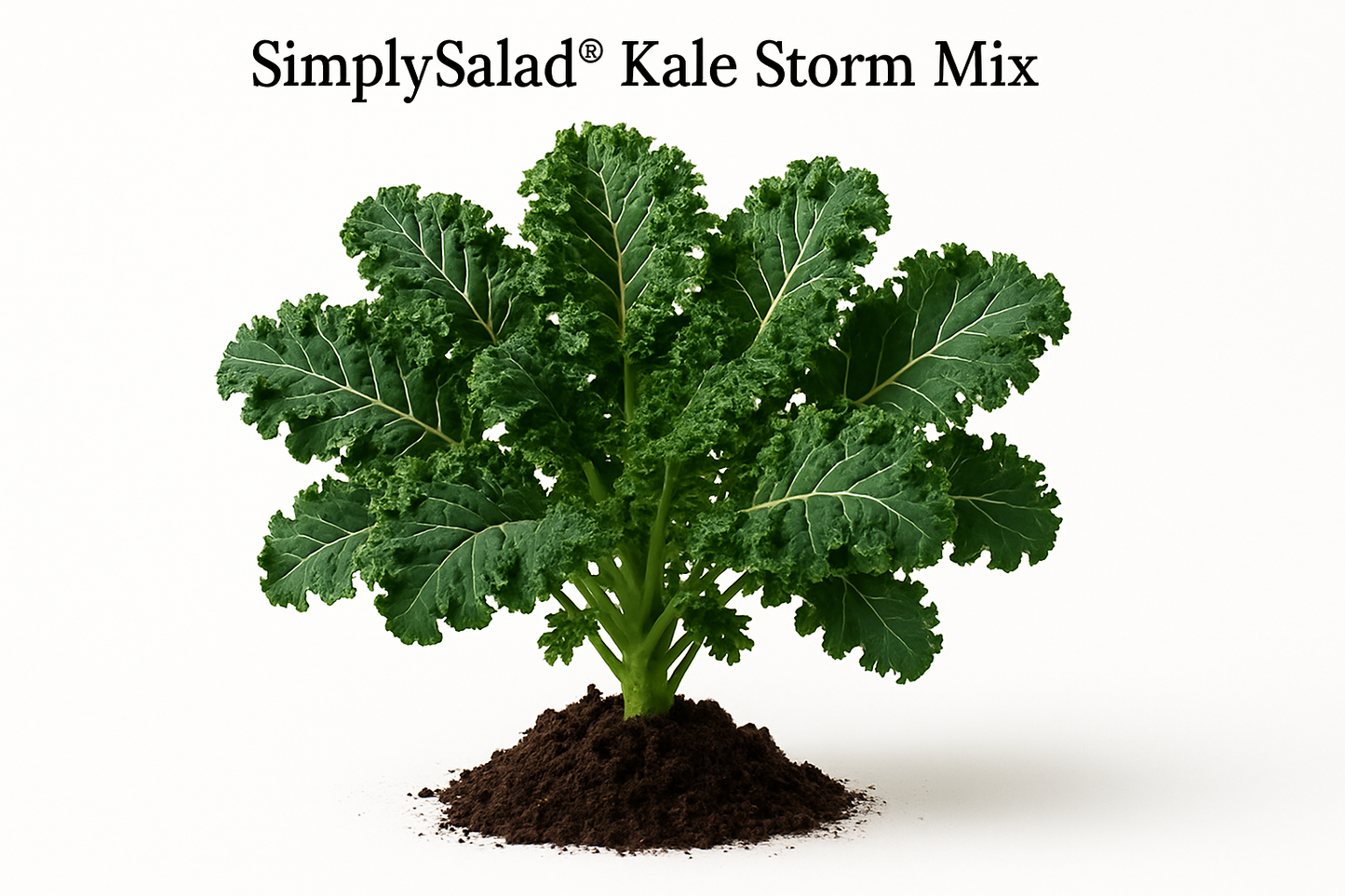 Kale SimplySalad® Kale Storm Mix Show the entire, mature plant upright with true-to-type, healthy foliage, the edible part visible, and in a small clump of natural soil. Use a solid, clean white background in a high-detail, fresh botanical catalog style for an online store.
Also show a close-up of the mature edible part (such as fruit, leaf, head, or flower) alone, on the same solid white background with accurate color, texture, and premium, fresh-picked appearance
