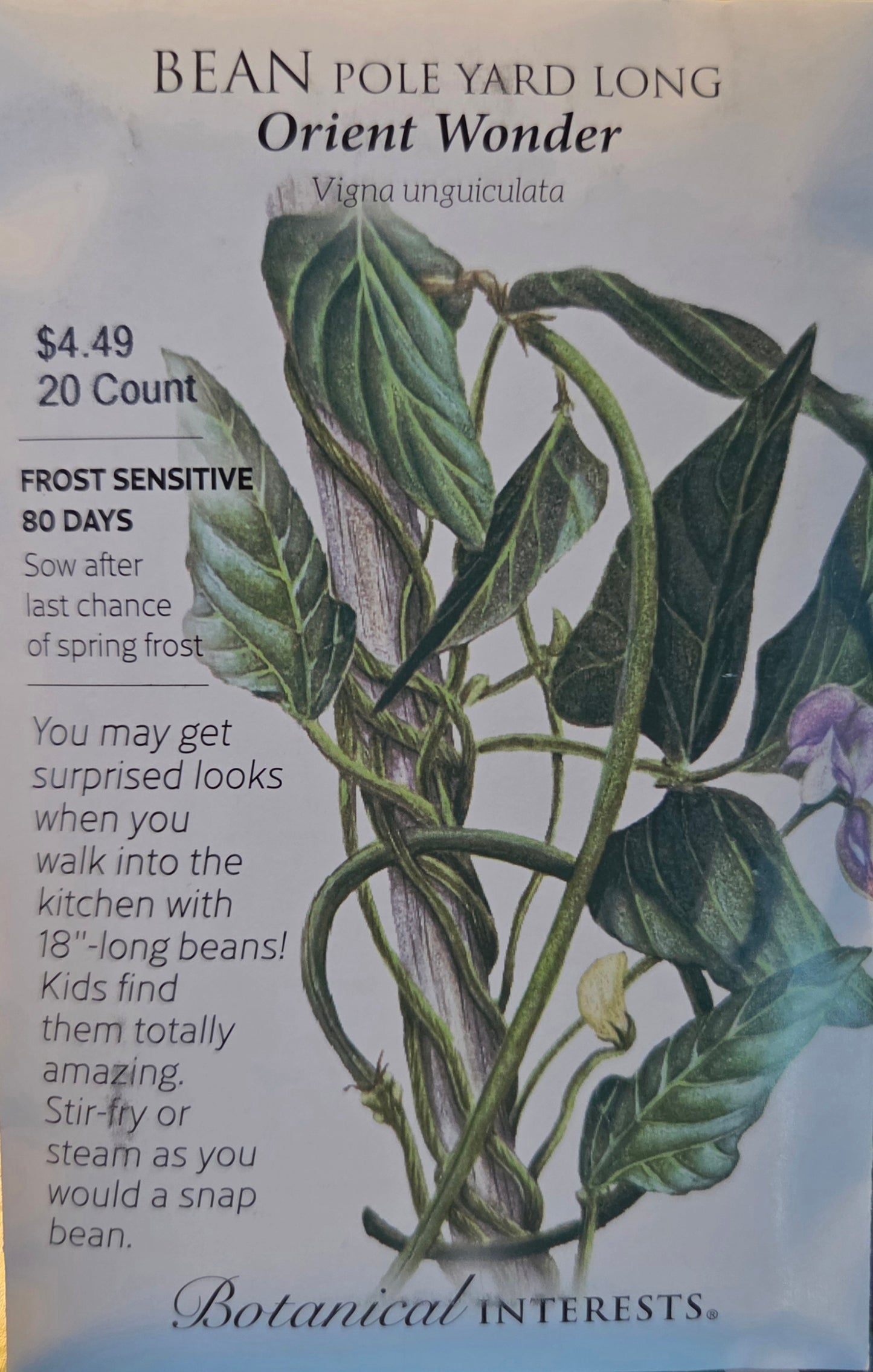 Bean Pole Yard Long Orient Wonder