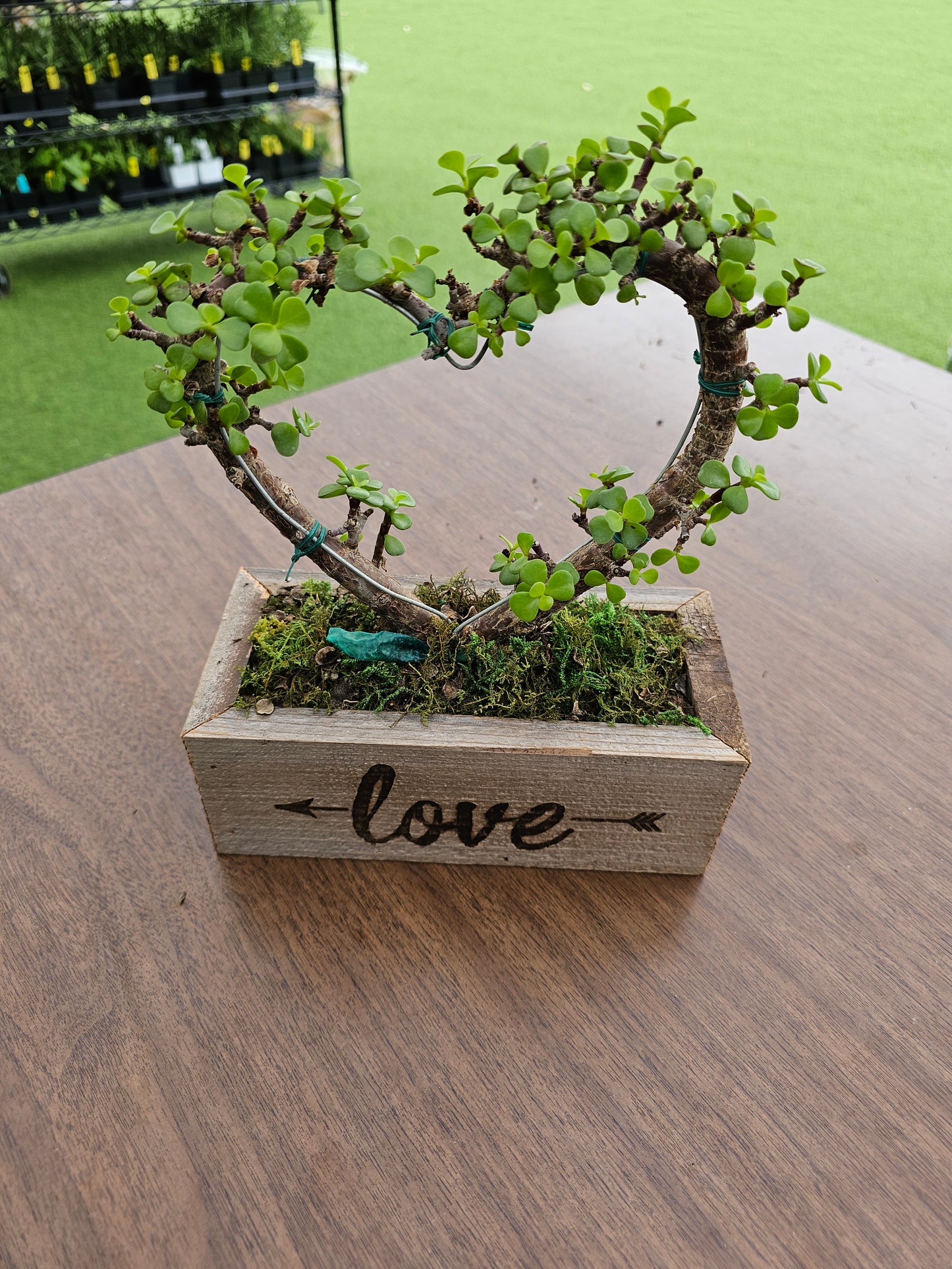 Reclaimed Wood Succulent Love and Arrow Planter - Small