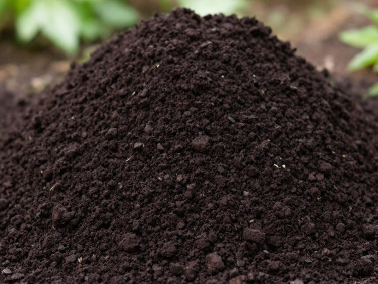 Garden Soil