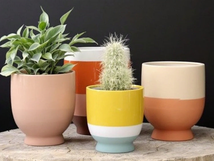 Ceramic Planters