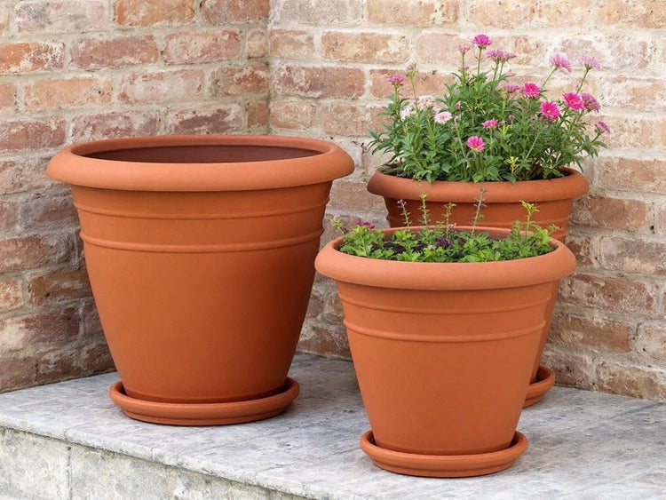 Terracotta Planters