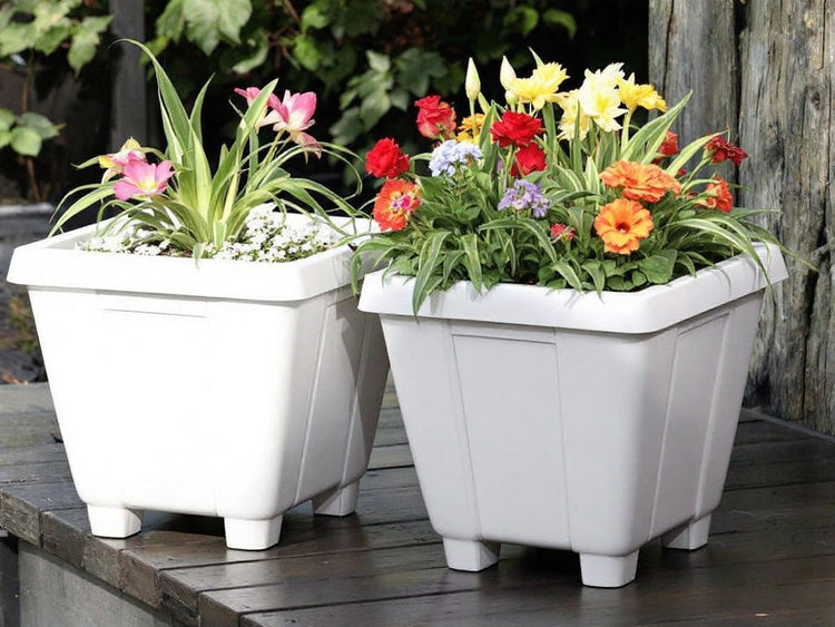 Plastic Planters