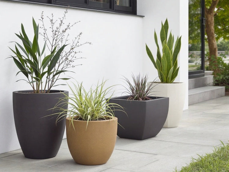 Modern Planters