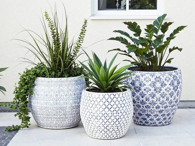 Decorative Planters