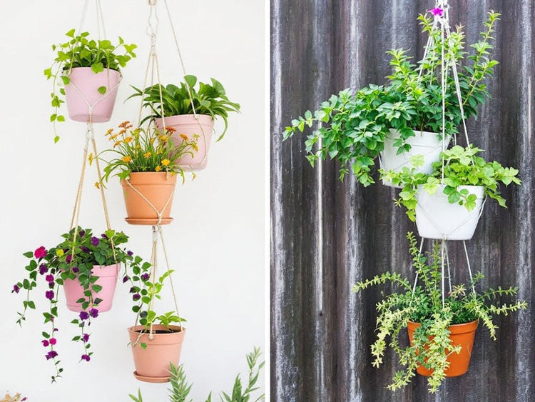 Hanging Planters