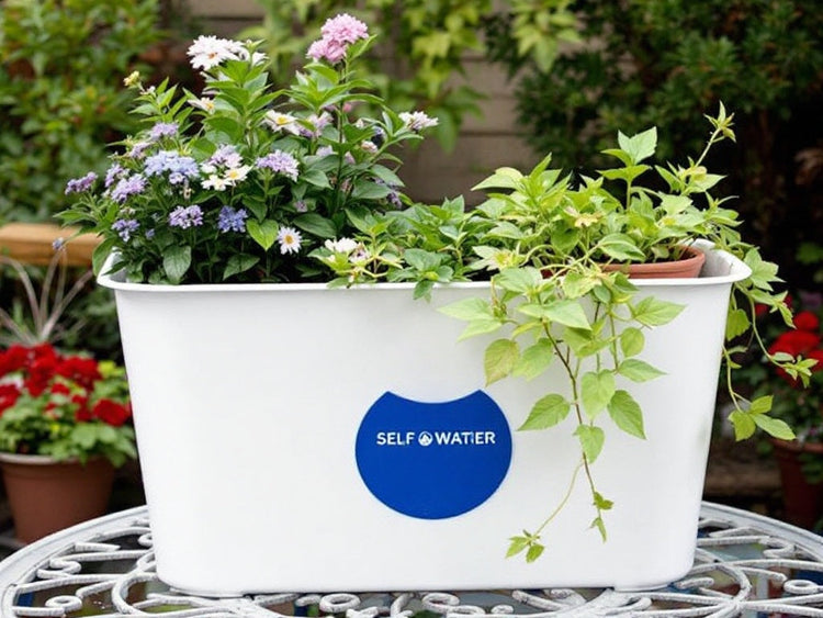 Self-Watering Planters