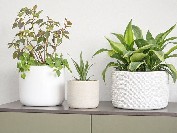 Indoor Planters