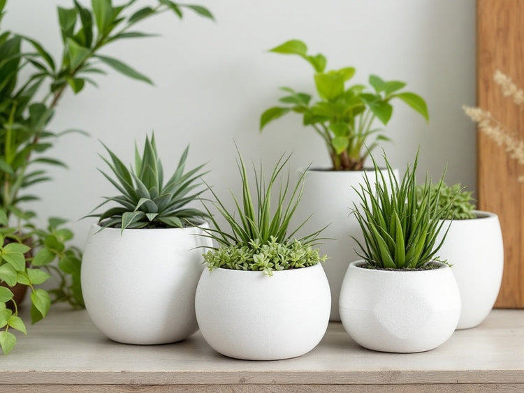 Zen Planters