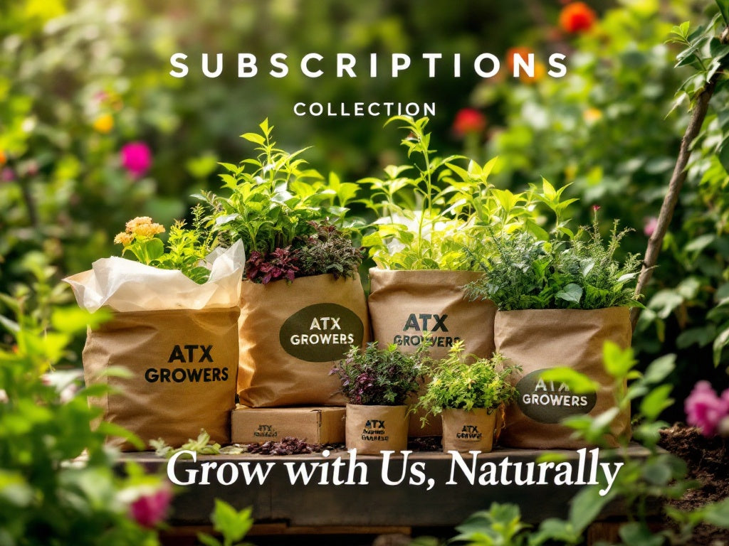 Subscriptions