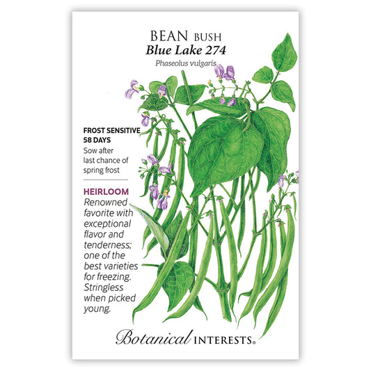 Bean Bush Blue Lake 274
