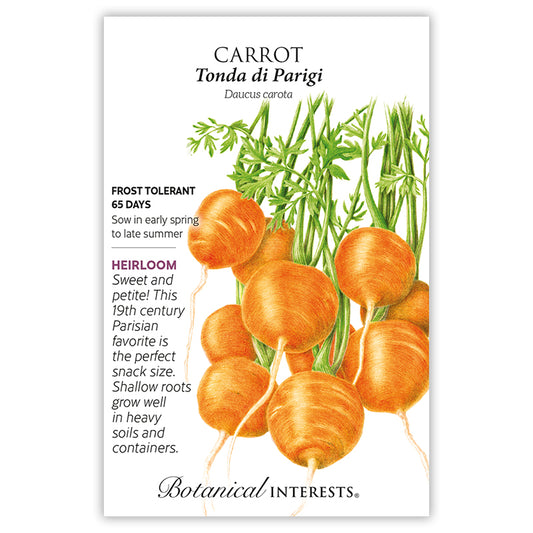 Carrot Tonda Di Parigi