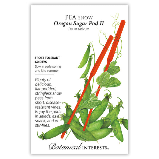Pea Snow Oregon Sugar Pod