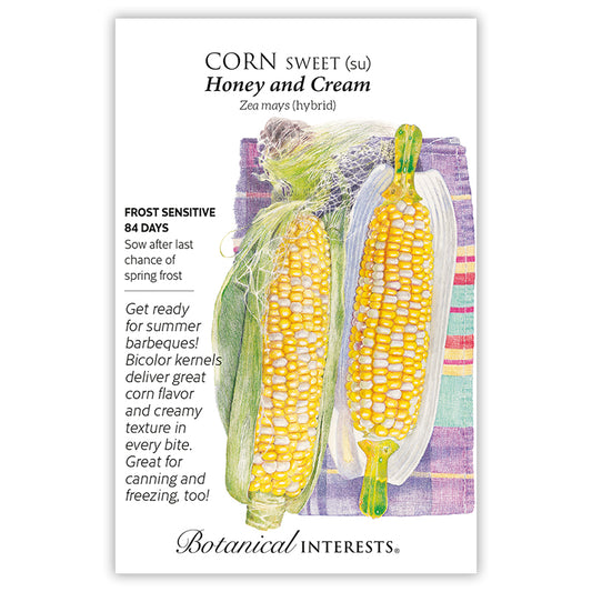 Corn Sweet Bicolor Honey Cream