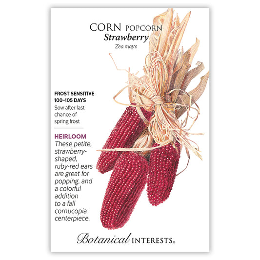 Corn Popcor  Strawberry