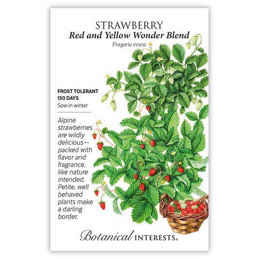Strawberry Red and Yellow  Wonder Blend