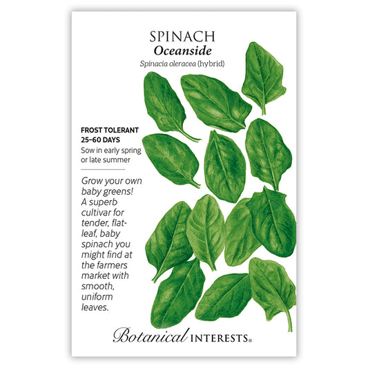 Spinach Oceanside hybrid