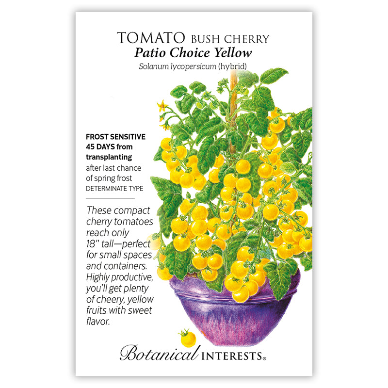 Tomato Cherry Patio Yellow Hybrid